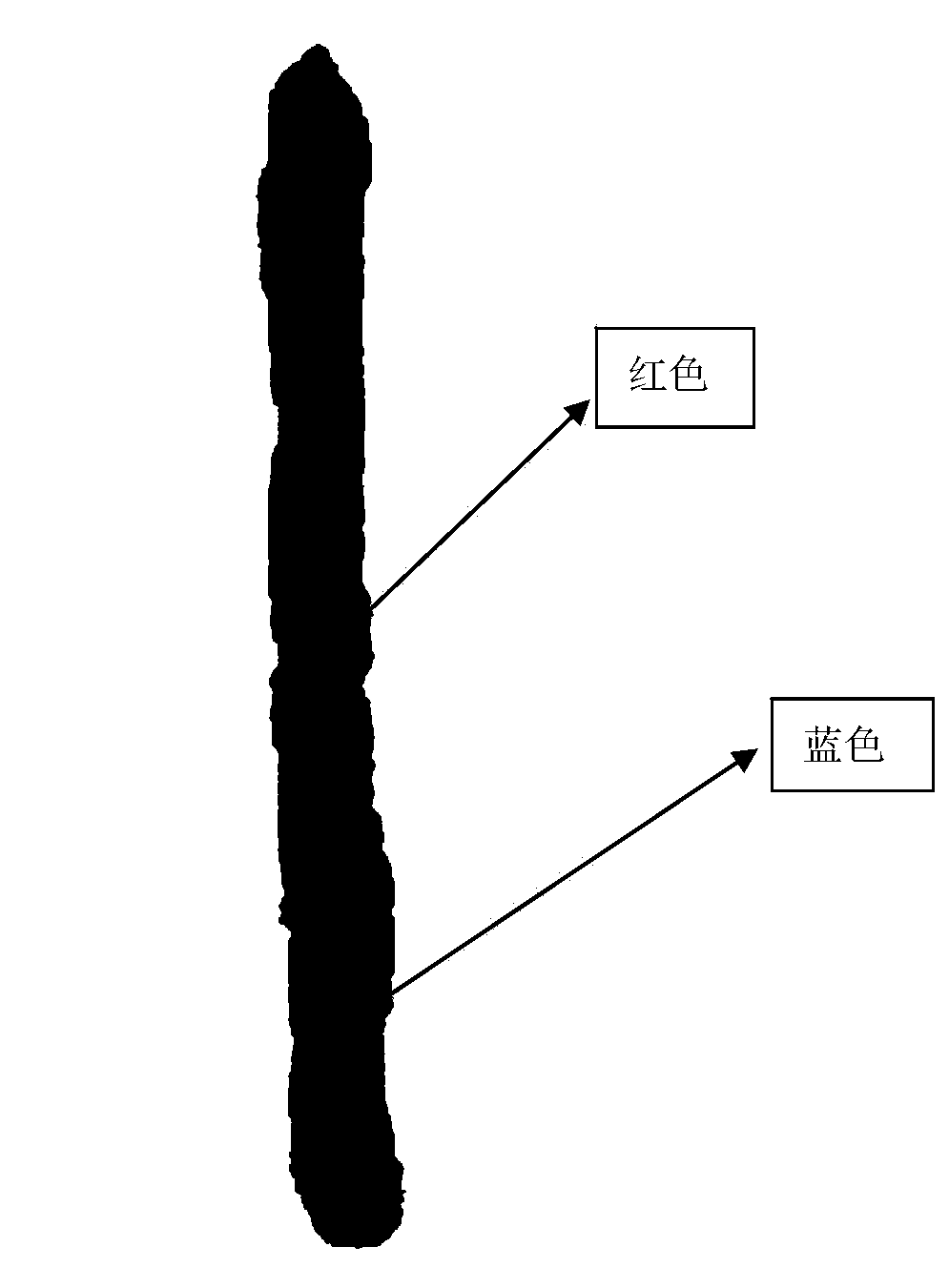 Adaptive separation method of lean meat and fat meat based on hyperspectral image of Cantonese sausage