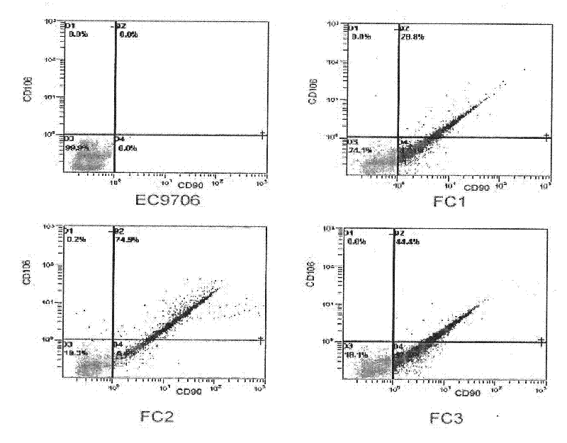 Application of adult stem cells in treating malignant solid tumors