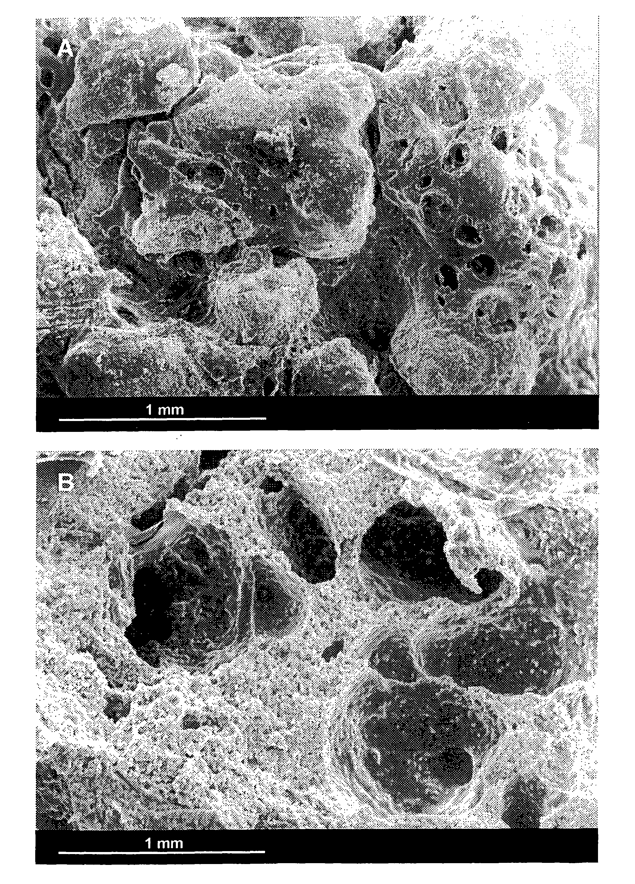 Moldable biomaterial for bone regeneration