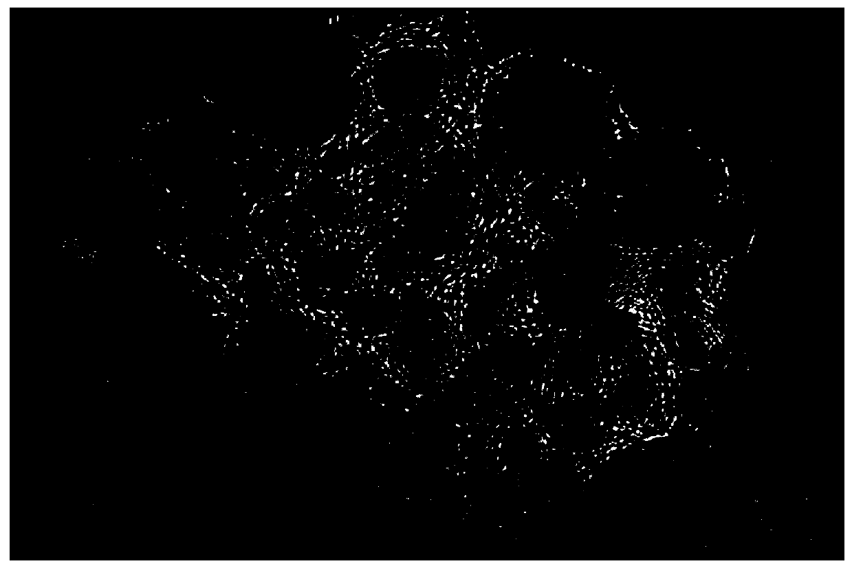 Catalyst for selective hydrogenation of quinoline compounds and preparation method of catalyst