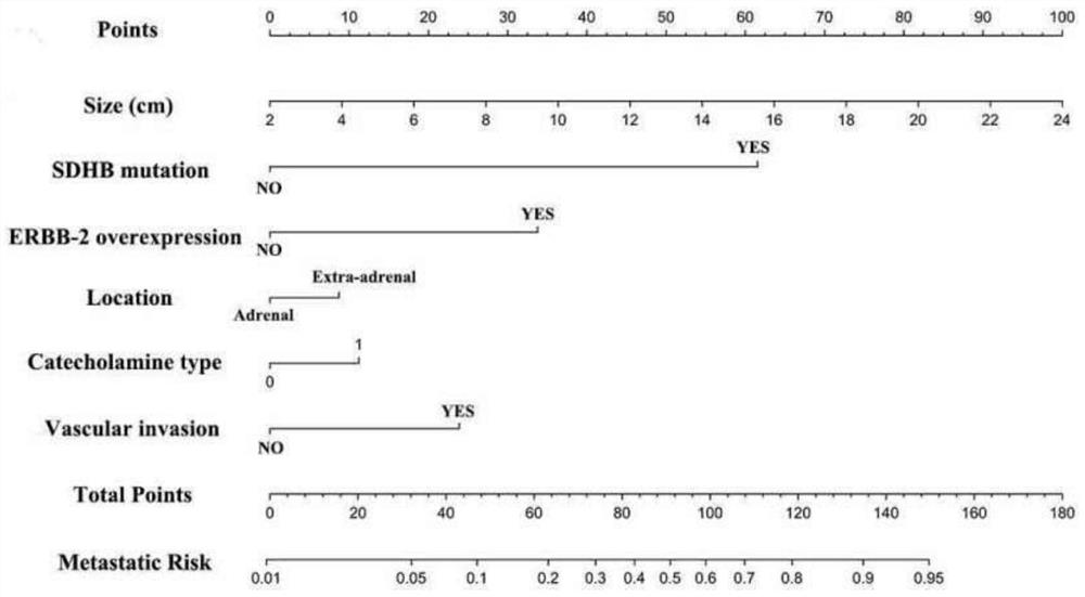 Pheochromocytoma Metastasis Prediction System Based on Molecular Markers