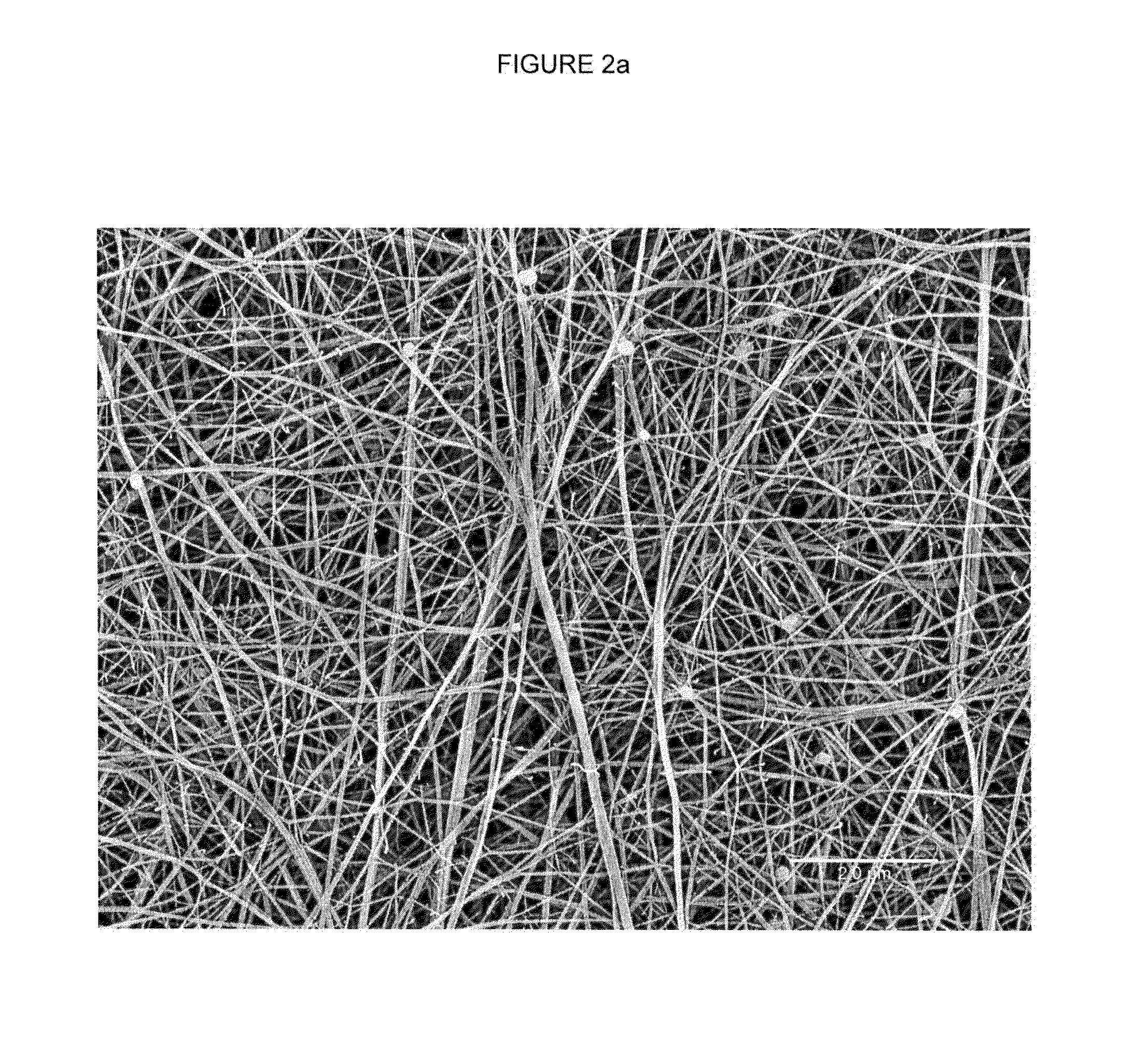 Articles including expanded polytetrafluoroethylene membranes with serpentine fibrils