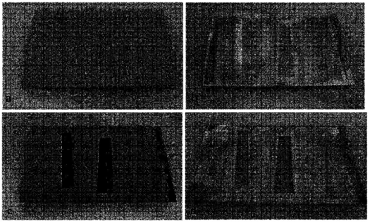 Self-aligning metal patterning based on photonic sintering of metal nanoparticles