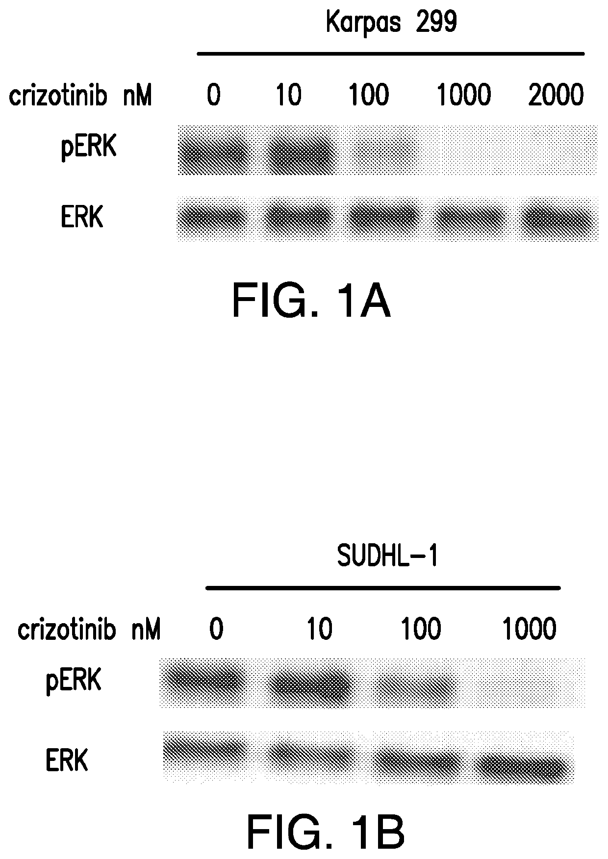 Methods of Treating Diseases Using Kinase Modulators