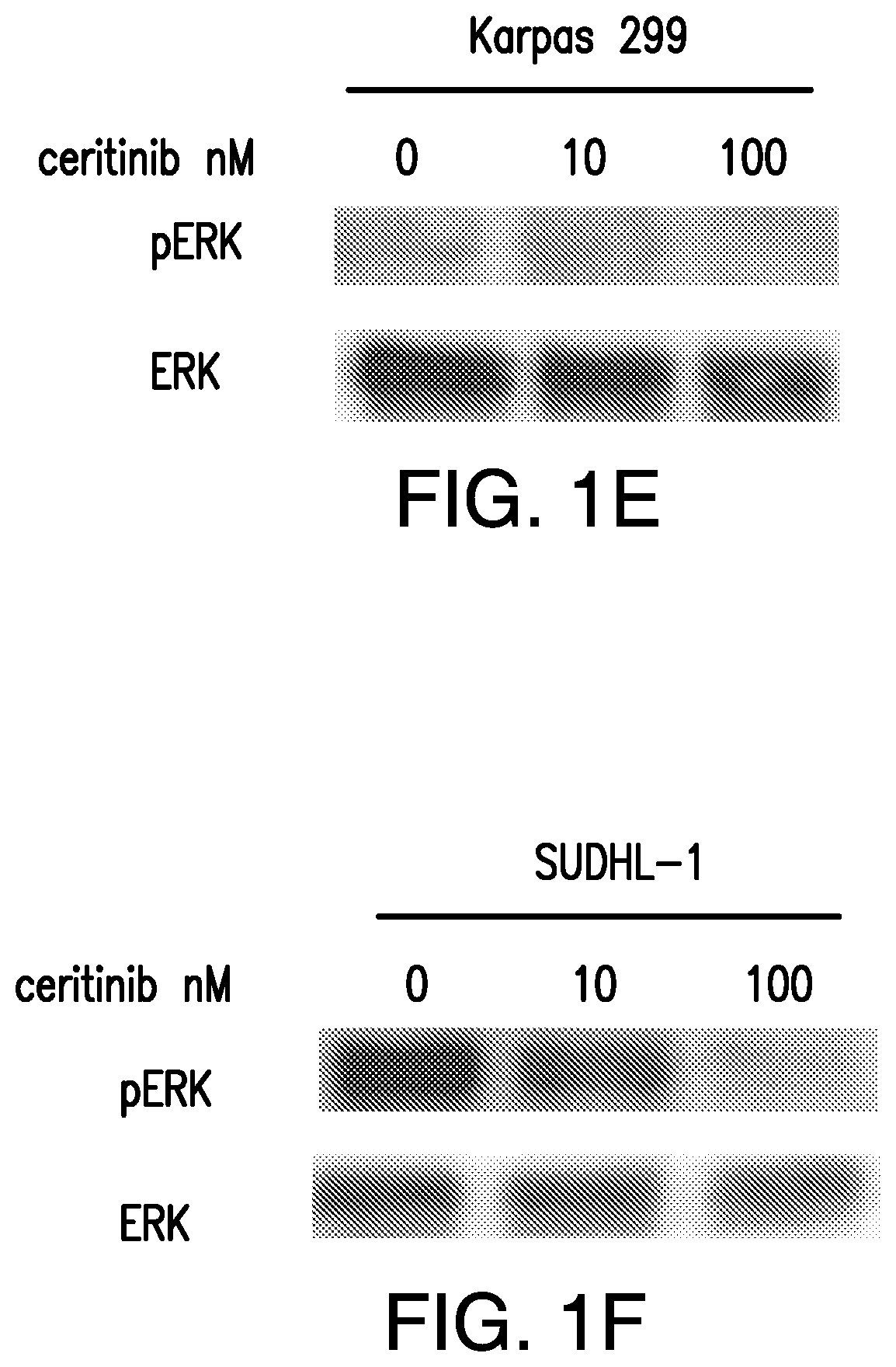 Methods of Treating Diseases Using Kinase Modulators