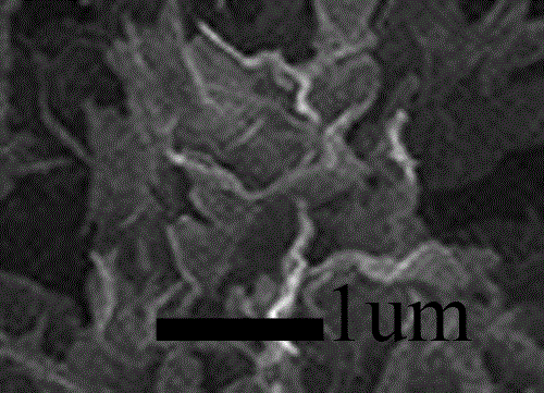 Preparation method for fluorine-doped three-dimensional structured positive electrode material of lithium-sulfur battery