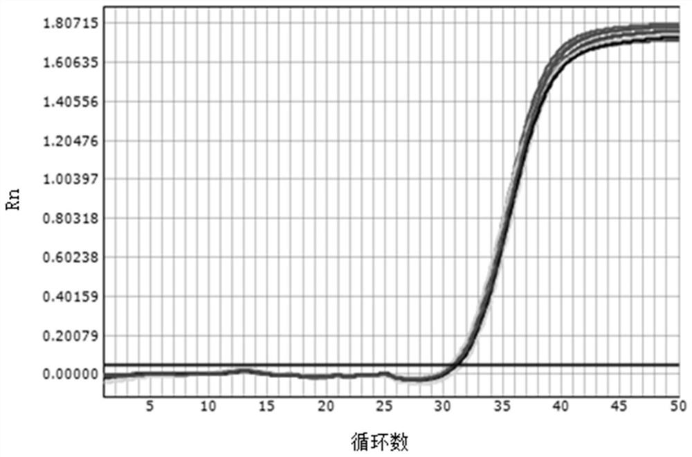 A lysate for extracting nucleic acid by magnetic bead method and method for extracting nucleic acid using the lysate