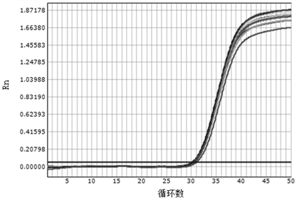 A lysate for extracting nucleic acid by magnetic bead method and method for extracting nucleic acid using the lysate