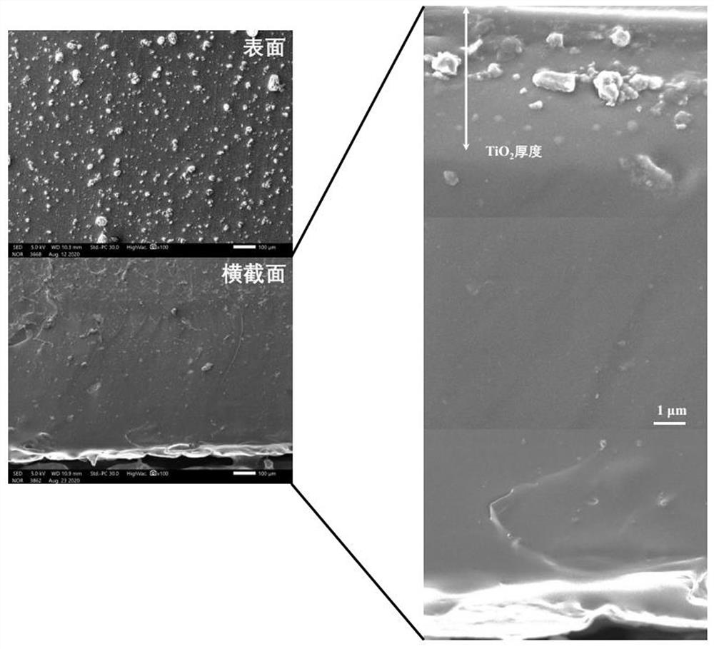 Preparation method of durable hydrophobic anti-photoaging stone cultural relic sealing and protecting coating