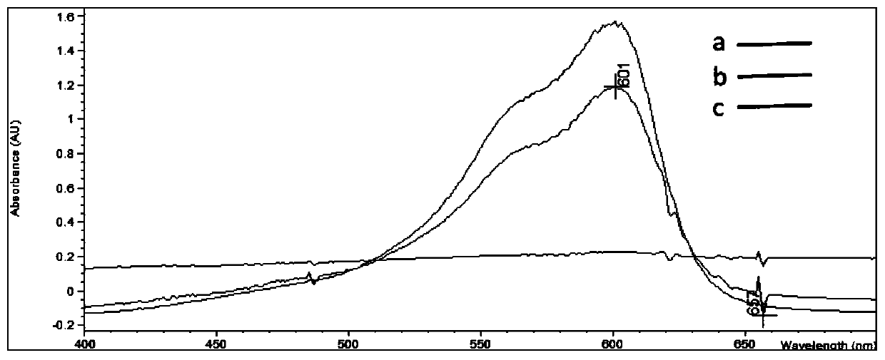 Electrochemical receptor sensor for detecting beta-lactam antibiotics, and preparation method and application thereof