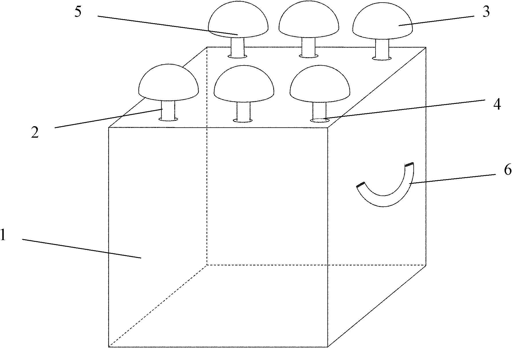 Plug-in artificial algal reef and method for constructing algal field by using same