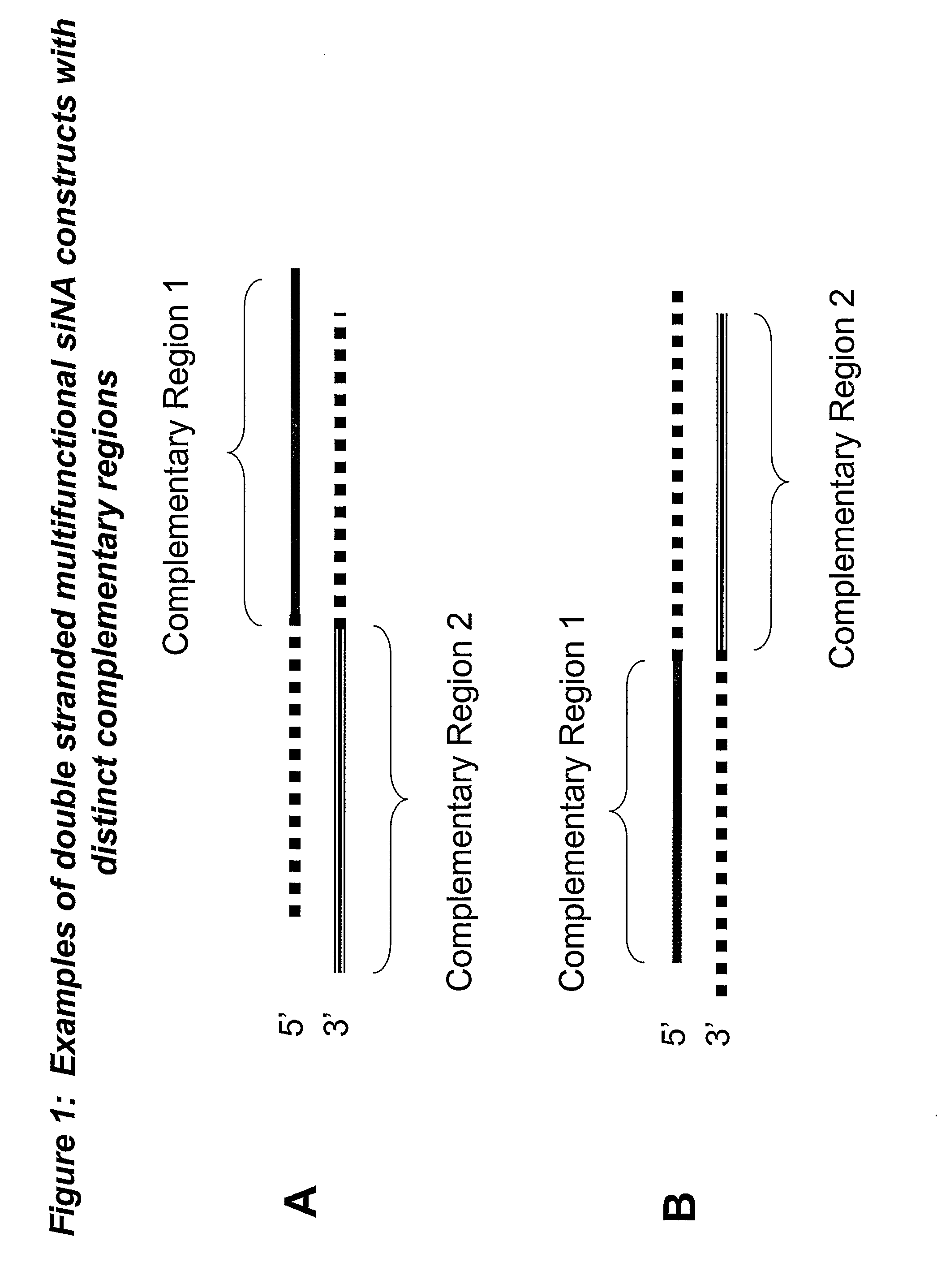 Rna Interference Mediated Inhibition of Gene Expression Using Multifunctional Short Interfering Nucleic Acid (Multifunctional Sina)