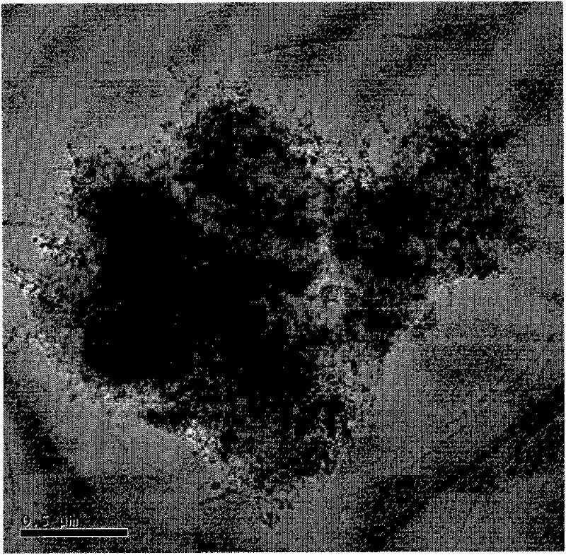 Method for preparing carbon nanotube/magnesium composite powder by nickel catalytic in-situ chemical vapor deposition