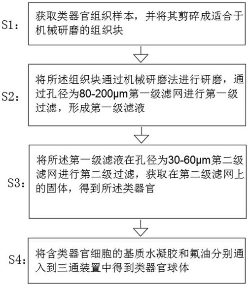 Preparation method of organ-like structure based on microfluidic technology high-throughput culture