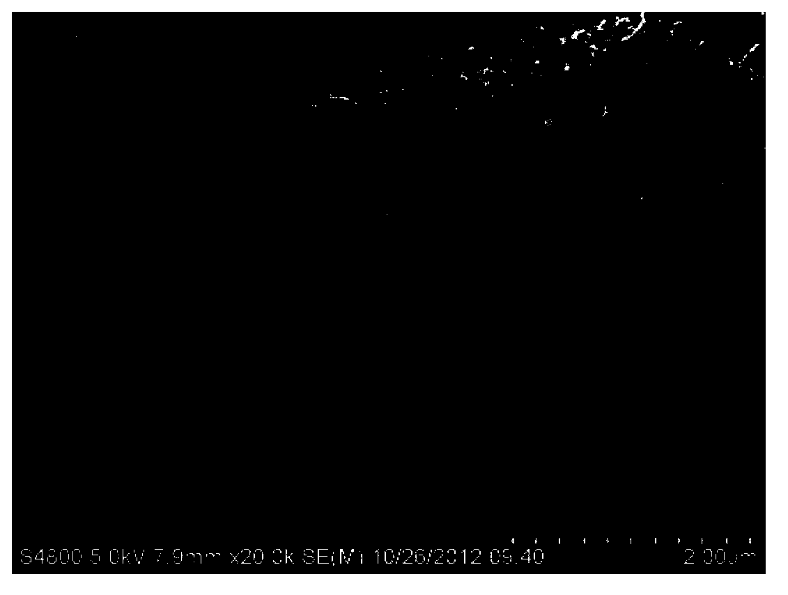 High-conductivity carbon nanotube/rubber nanocomposite and preparation method thereof