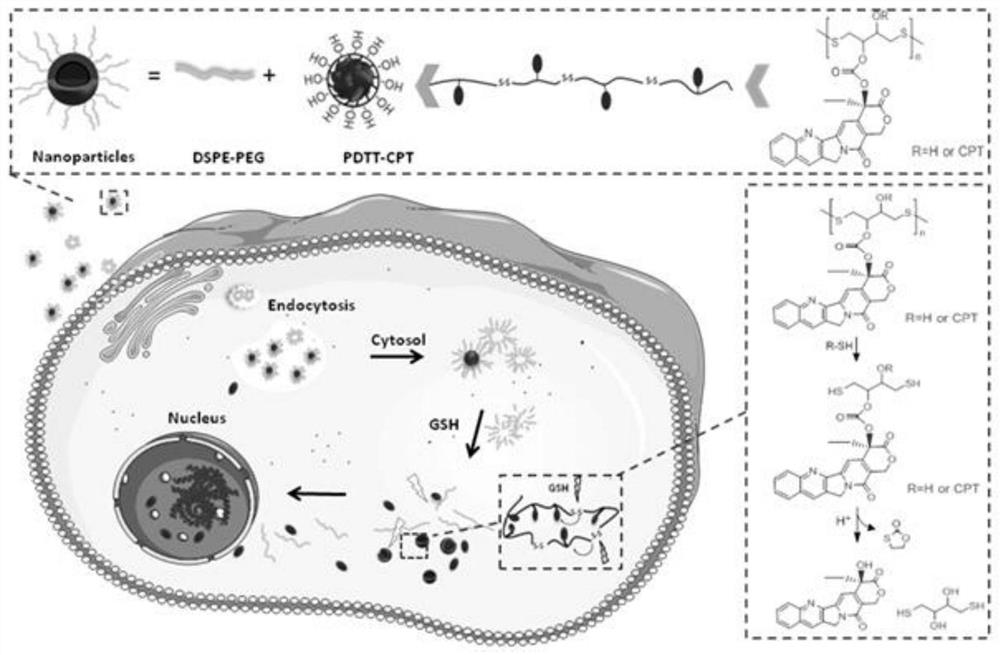 A polydithiothreitol nanosystem for antitumor drug delivery and its preparation method and application