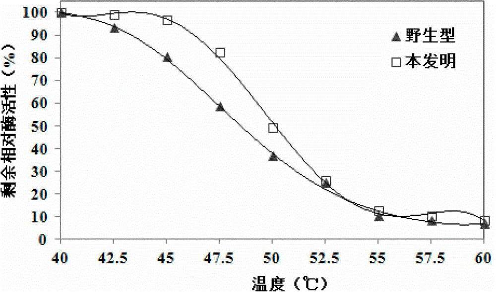 Organophosphorus pesticide degrading enzyme transformed by random mutation and encoding gene thereof