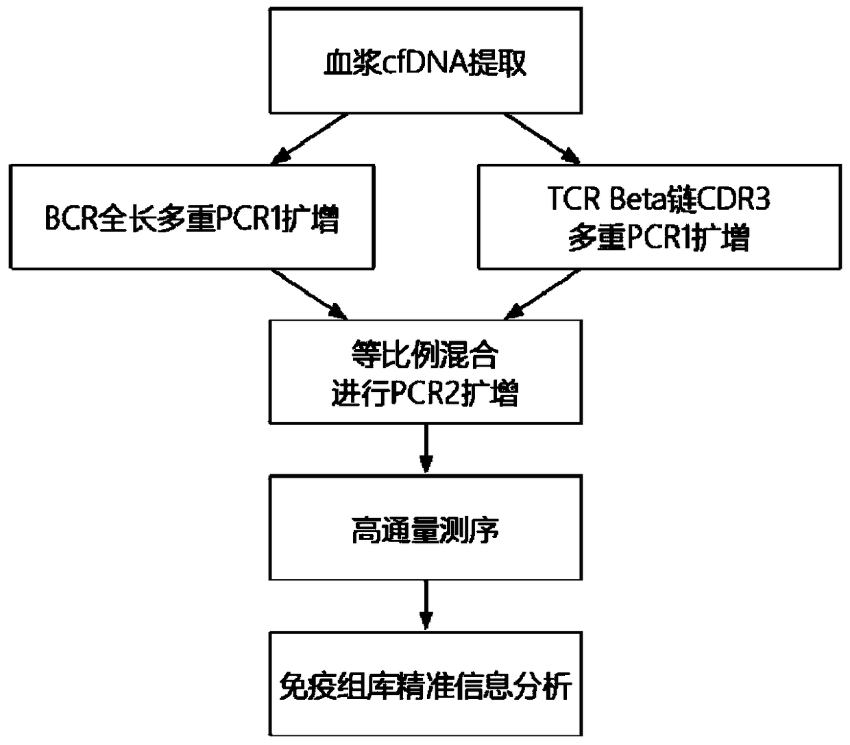 A method for detecting bcr and tcr immune repertoire in plasma cfdna