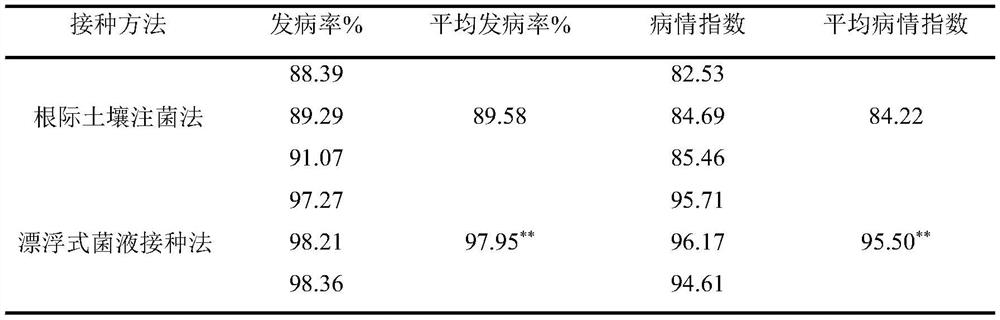 A kind of Pluzobacterium floating type bacterial liquid inoculation method