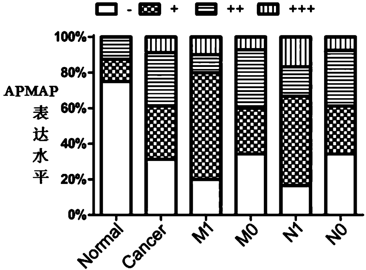 Cancer marker and use thereof