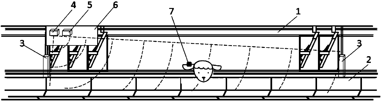 Internet-of-things data collection device for eaten fodder of raised sheep in breeding house