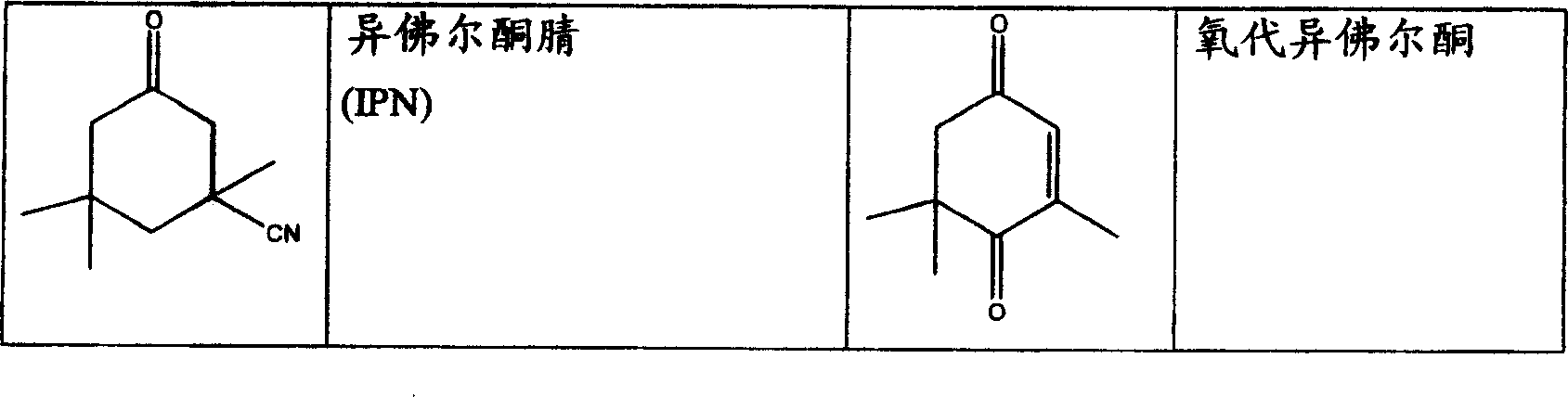 Process for preparing amines by conditioning the catalyst with ammonia