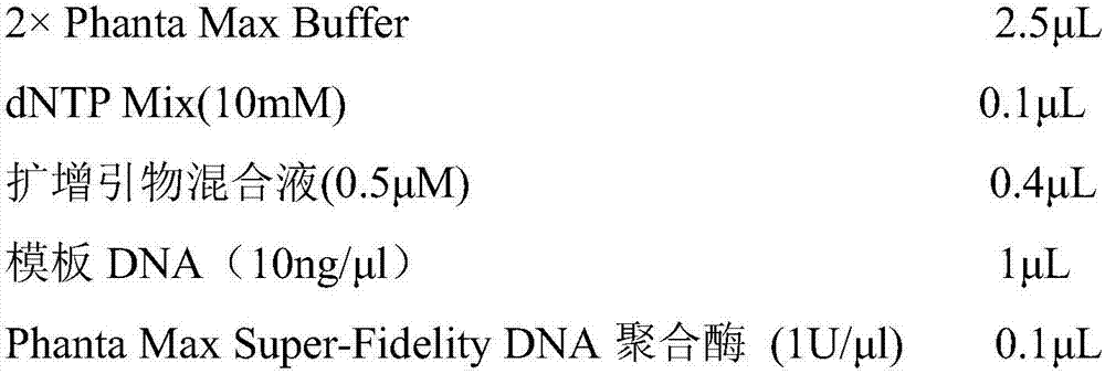 Nucleic-acid mass spectrometry detection method for early screening of drive genes and susceptible genes of lung cancer