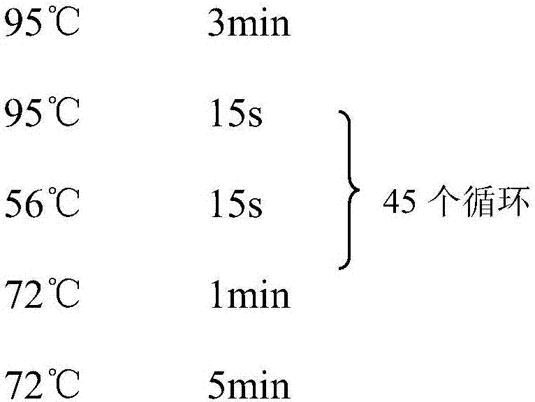 Nucleic-acid mass spectrometry detection method for early screening of drive genes and susceptible genes of lung cancer