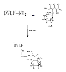 Method for preparing lactobionic acid-crosslinked hepatic cell targeted viral vector