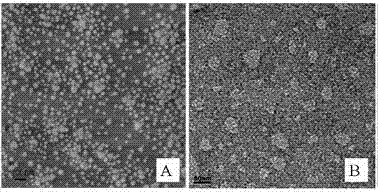 Method for preparing lactobionic acid-crosslinked hepatic cell targeted viral vector