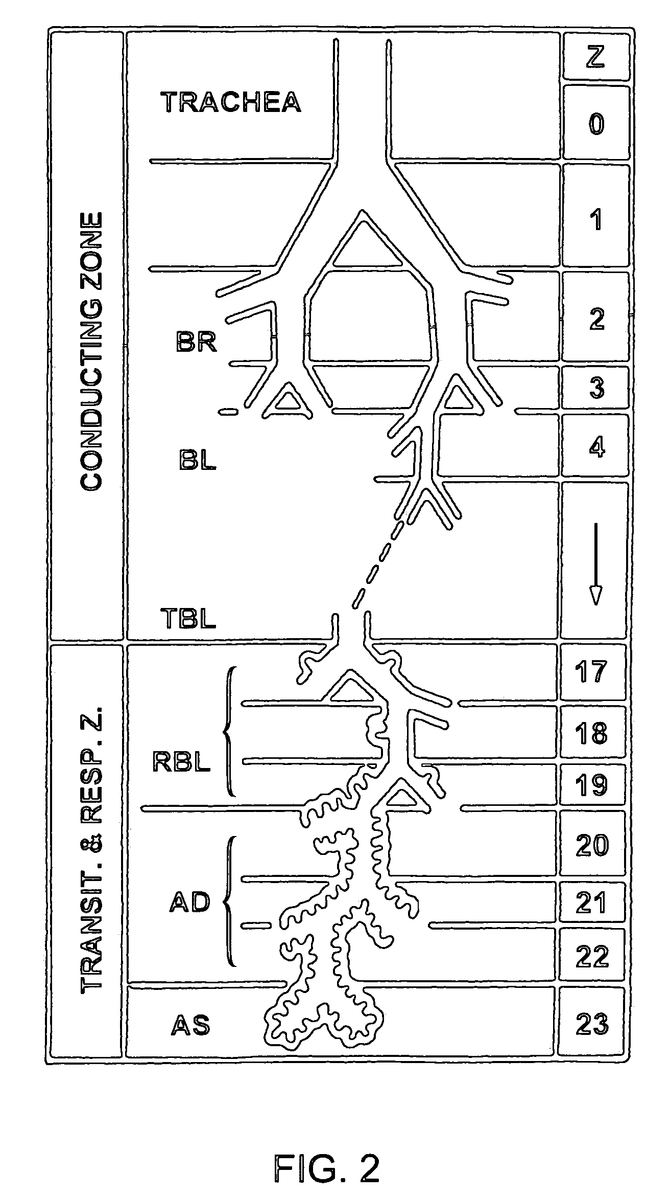 Methods of delivering aerosolized polynucleotides to the respiratory tract