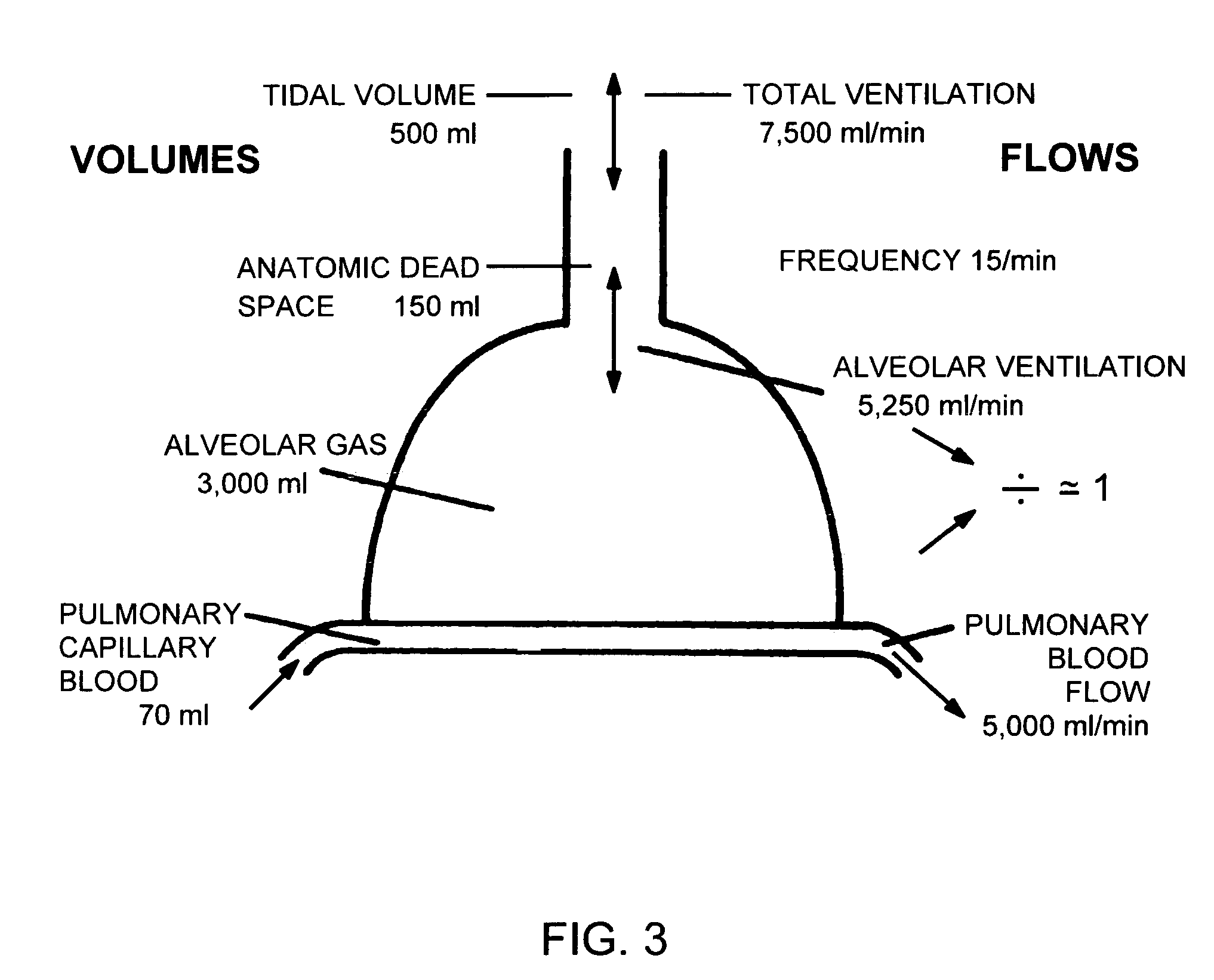 Methods of delivering aerosolized polynucleotides to the respiratory tract