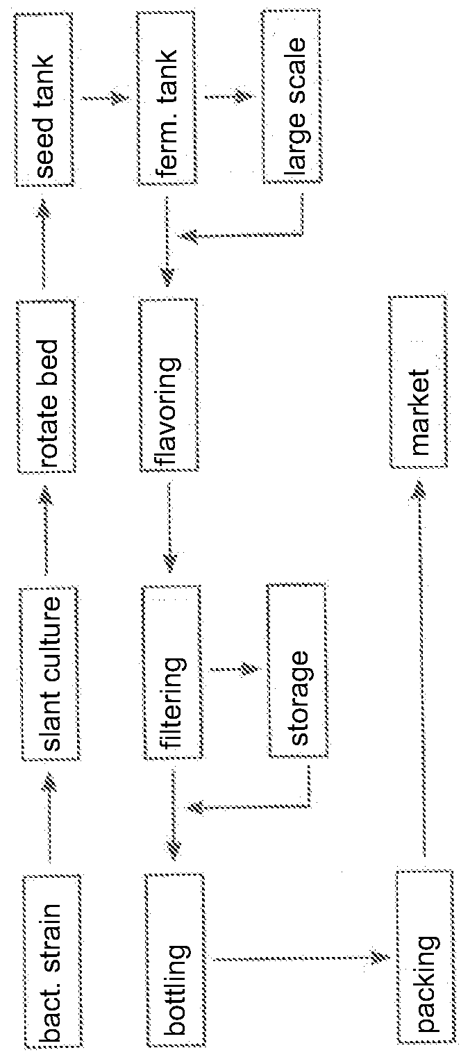 Active fermentation process and fermented liquid and drinks made by using the same