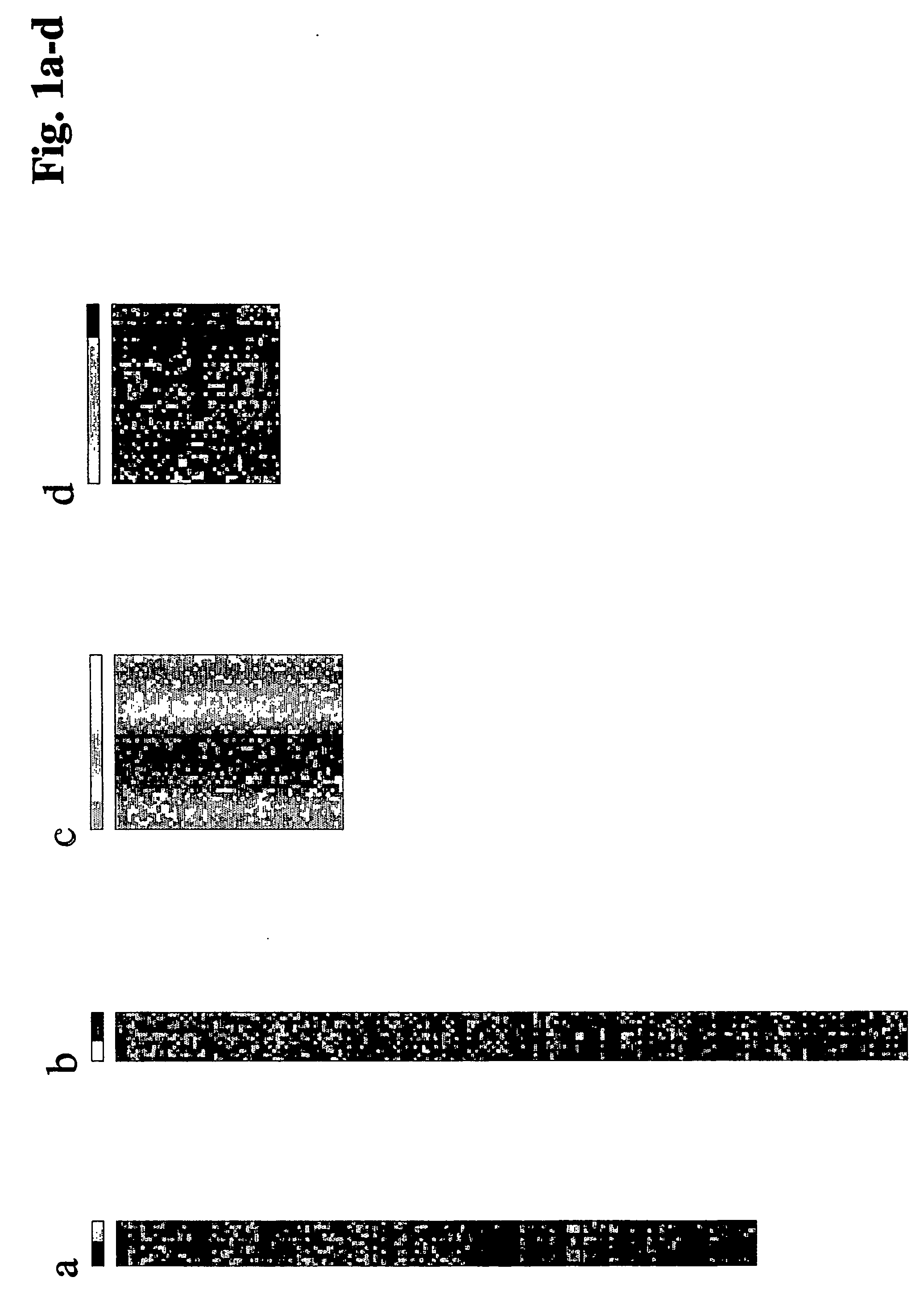 Method of Defining the Differentiation Grade of Tumor