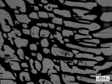 Metallographical corrosive liquid and preparation method thereof and 2205 duplex stainless steel metallographical display method