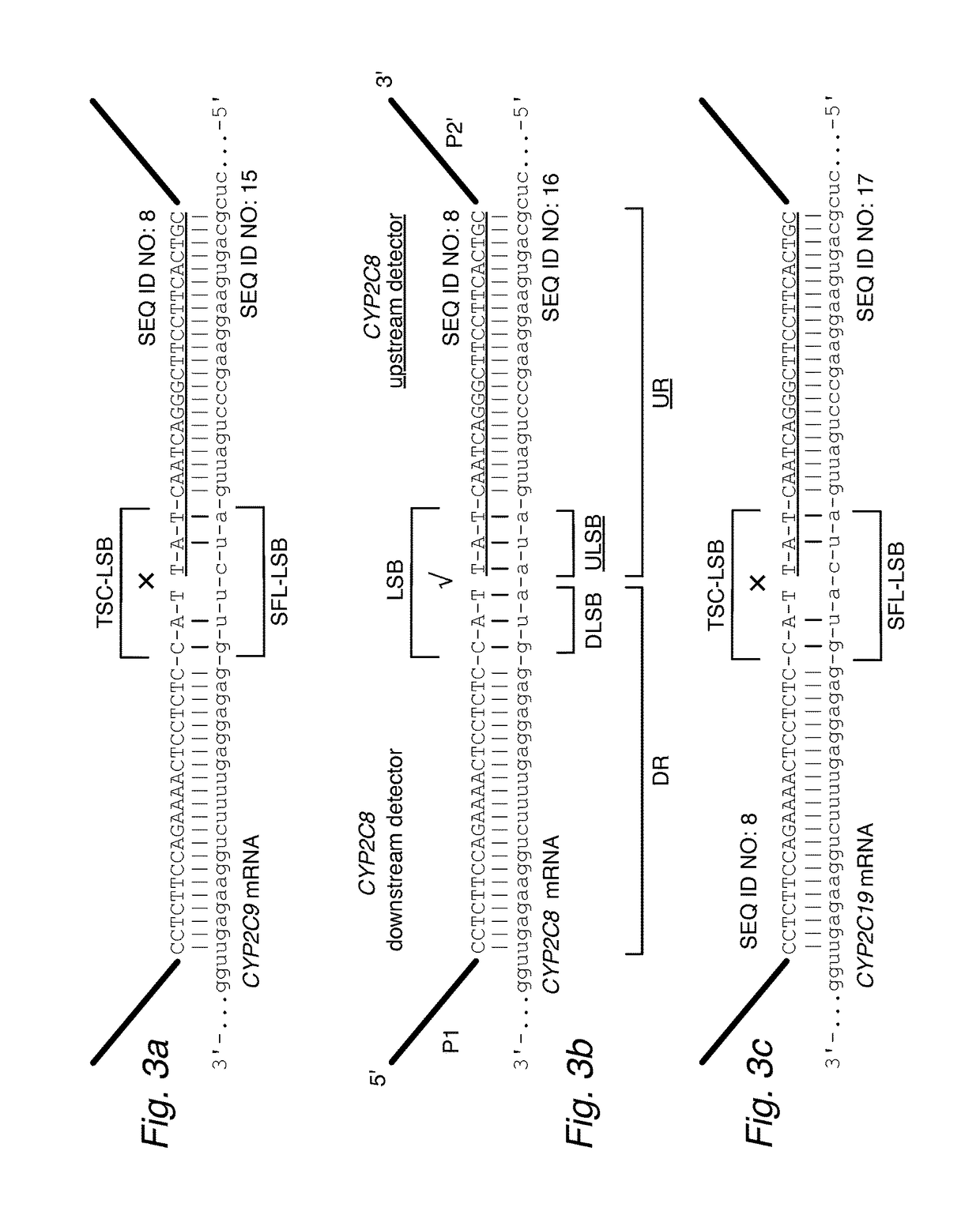 Profiling expression at transcriptome scale