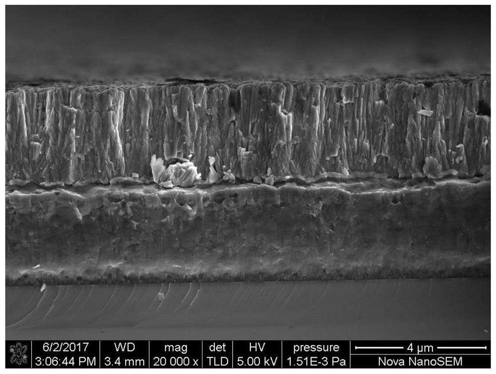 Magnesium alloy protective coating and preparation method thereof