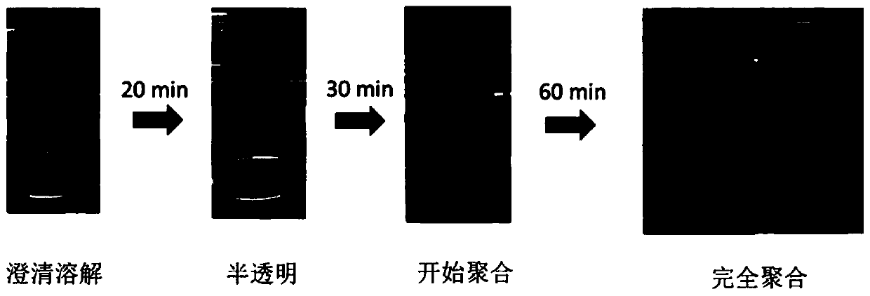 Polyformaldehyde all-solid-state polymer electrolyte prepared by in-situ ring-opening polymerization and application thereof