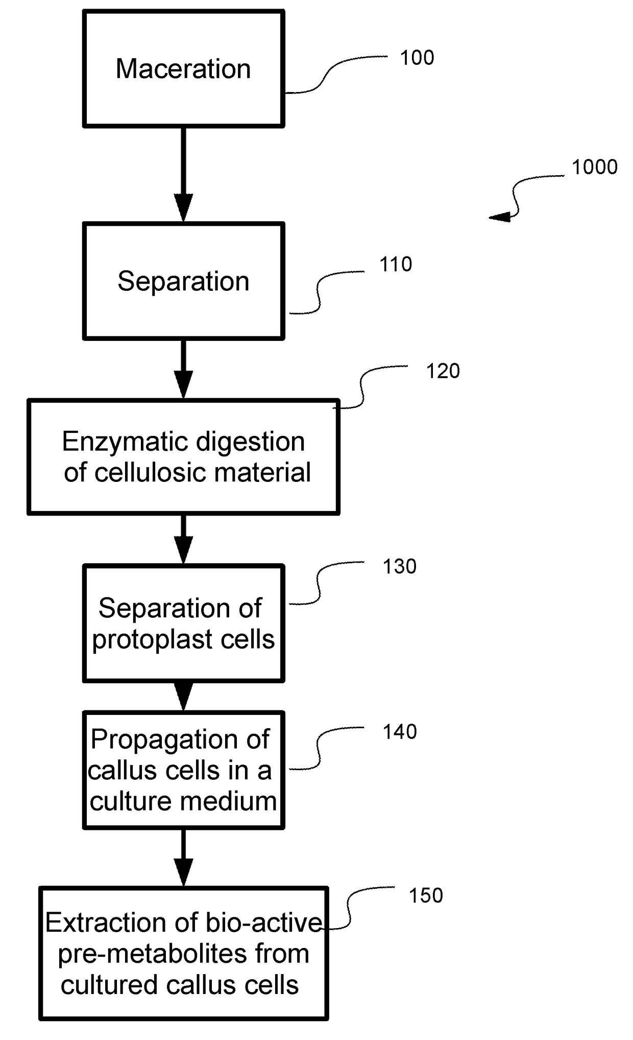 Plant Activator Composition