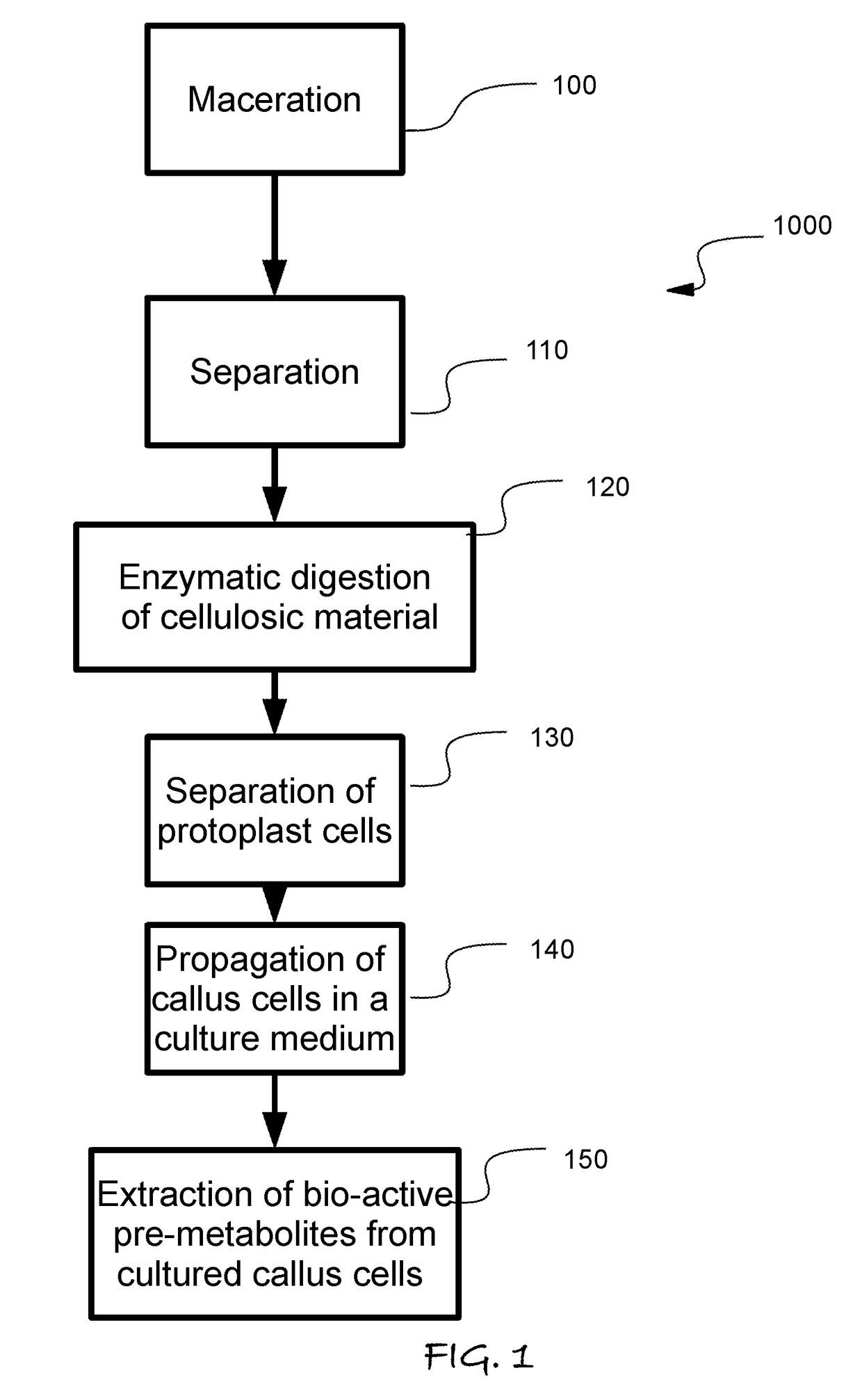 Plant Activator Composition