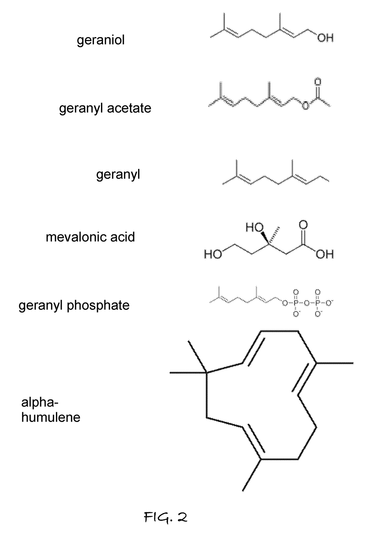 Plant Activator Composition