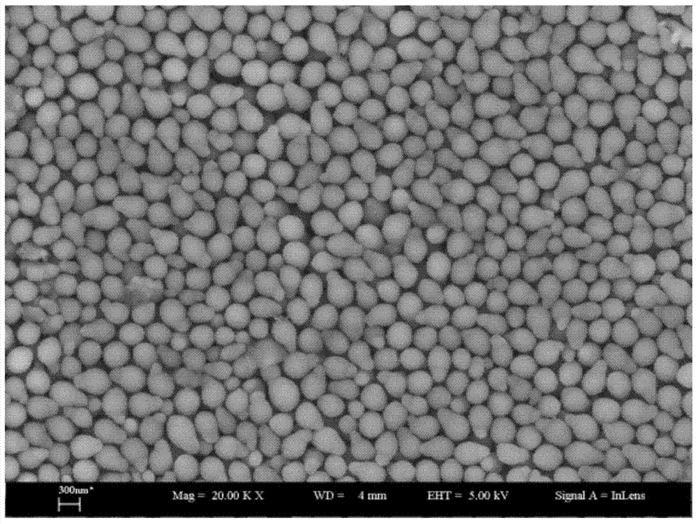 A polythiophene composite metal anti-corrosion coating influenced by morphology, preparation method and application thereof