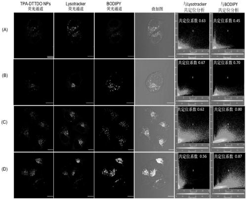 Fluorescent probe based on fused ring oxidized thiophene and application of fluorescent probe in cell imaging