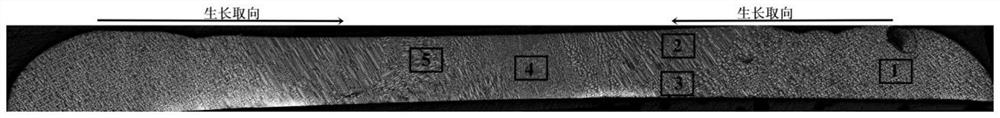 Treatment method of high-temperature alloy EBSD test sample