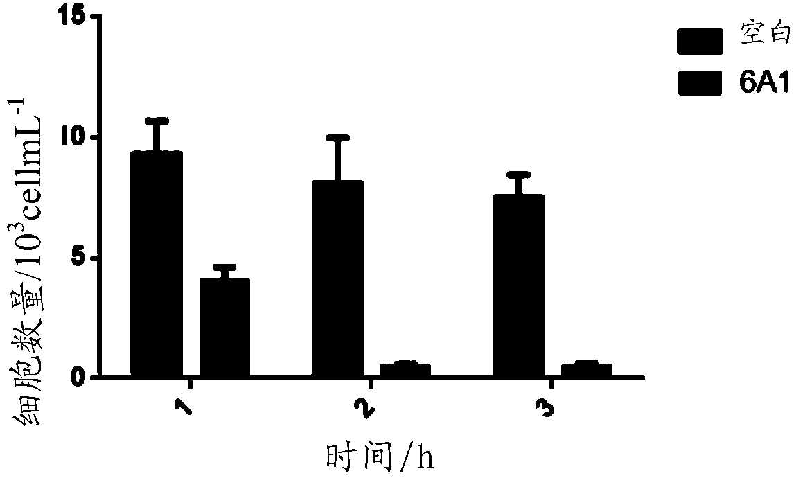 Preparation method and application of flavobacterium and flavobacterium secreta