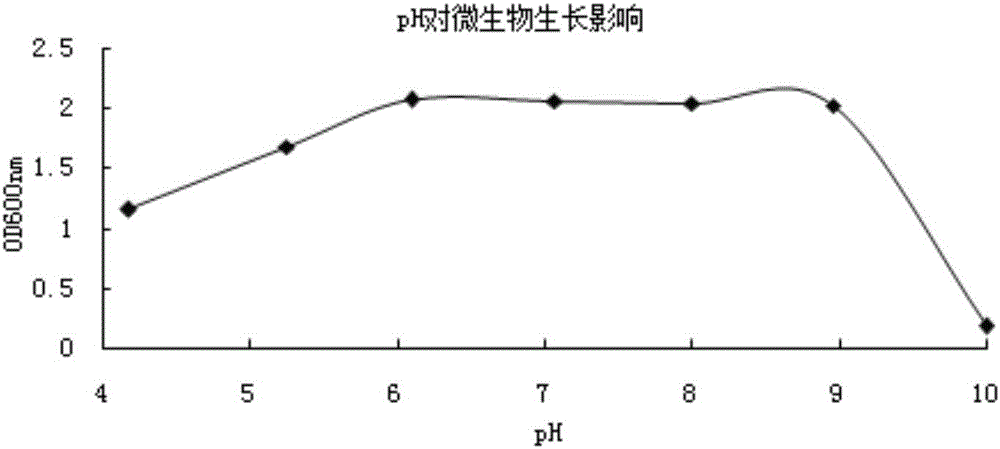 Thauera bacterial strain and application thereof