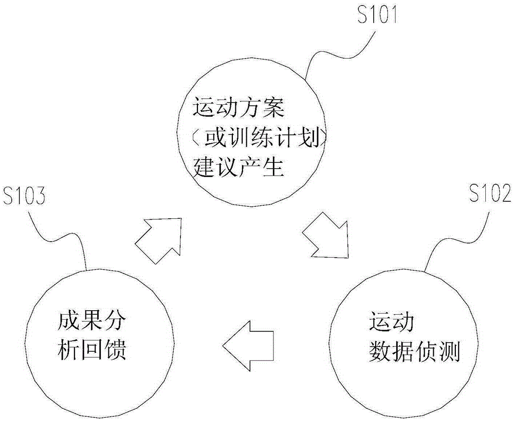 Management system and method of exercise scheme