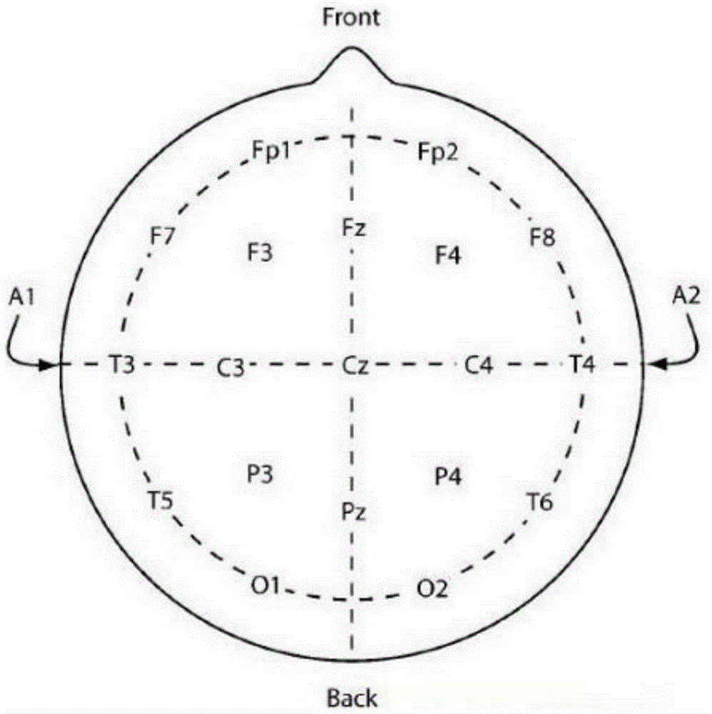 Device and method for positioning EEG (electroencephalogram) or MEG (magnetoencephalogram) electrodes in brain MR (magnetic resonance) image