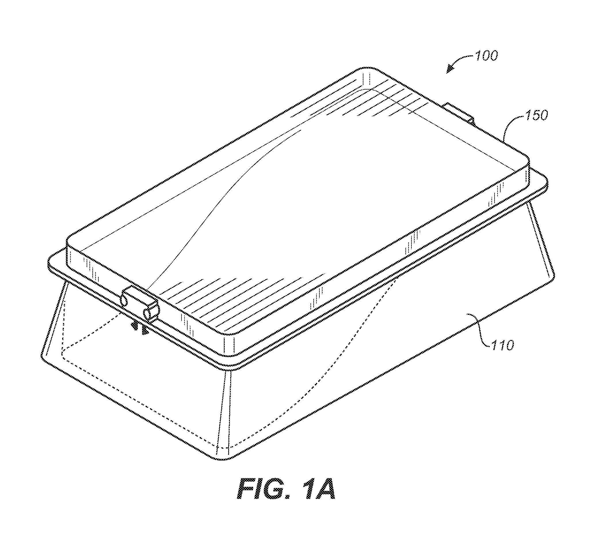 Method and apparatus for improving the appearance of nails affected by onychomycosis through the topical application of an aqueous solution containing boric acid and camphor or other terpenes