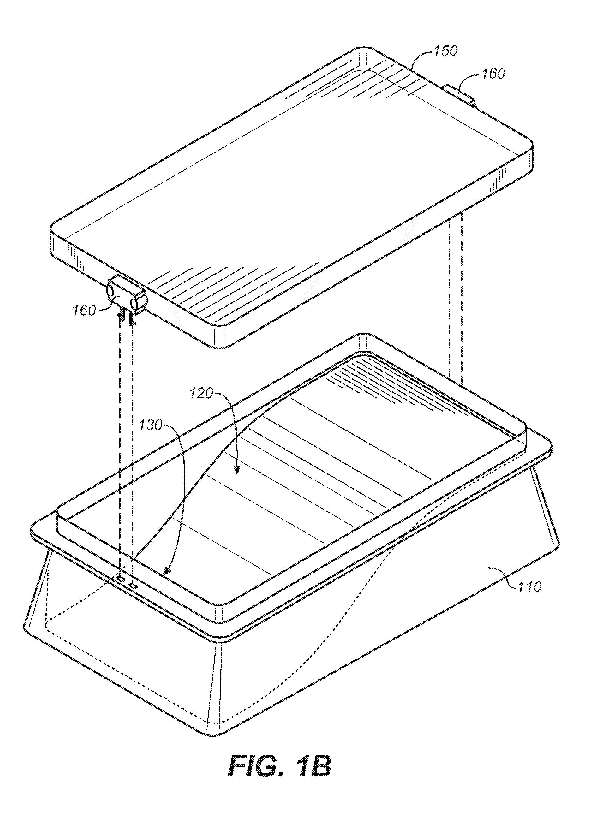 Method and apparatus for improving the appearance of nails affected by onychomycosis through the topical application of an aqueous solution containing boric acid and camphor or other terpenes